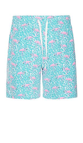 The domingos are for flamingos 7 swim short en color azul talla M en - Blue. Talla M (también en S) - Chubbies - Modalova