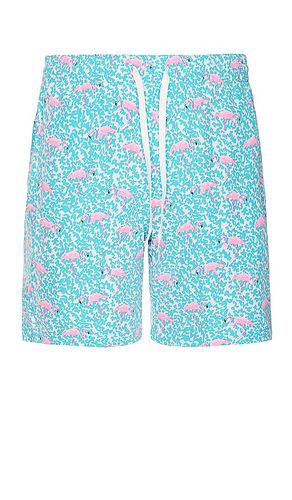 The domingos are for flamingos 7 swim short in color blue size M in - Blue. Size M (also in S) - Chubbies - Modalova