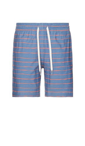 Short natación en color azul talla L en - Blue. Talla L (también en M, XL/1X) - Chubbies - Modalova