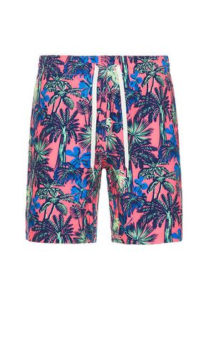 The wild things 7 swim short in color pink size L in - Pink. Size L (also in M, S, XL/1X) - Chubbies - Modalova