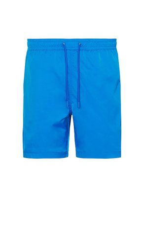 The radiant blues 6 swim short in color blue size L in - Blue. Size L (also in M, S, XL/1X) - Chubbies - Modalova