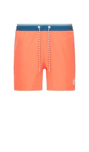 SHORTS in . Size XXL/2X - Chubbies - Modalova