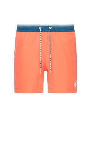 The Reef Riders 5.5 Swim Short in . Size XXL/2X - Chubbies - Modalova