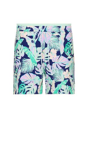 The night faunas 5.5 swim short en color verde talla L en - Green. Talla L (también en XXL/2X) - Chubbies - Modalova