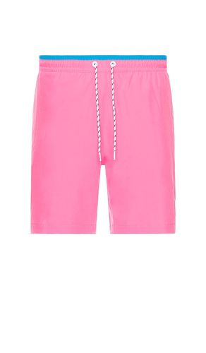 The avalons 7 swim short in color pink size L in - Pink. Size L (also in M, S) - Chubbies - Modalova