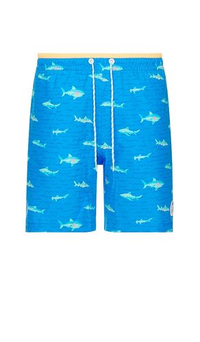 The Secret Tides 7 Swim Short in . Taglia S, XXL/2X - Chubbies - Modalova