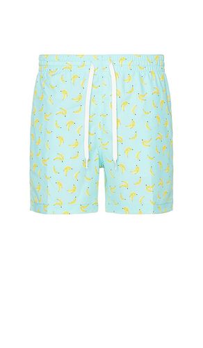 The Peelio Dealios 5.5 Swim Short in . Size S, XL/1X - Chubbies - Modalova