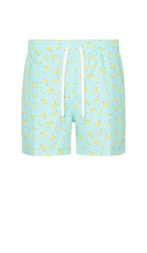 The Peelio Dealios 5.5 Swim Short in . Size XL/1X - Chubbies - Modalova