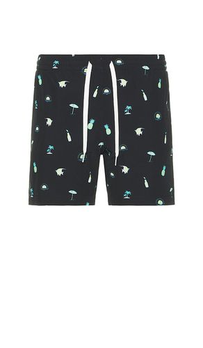 The Beach Essentials 5.5 Swim Short in . Size S - Chubbies - Modalova