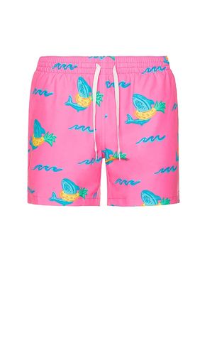 The Pineapple Floaters 5.5 Swim Short in . Size L. Also in M, S, XL/1X - Chubbies - Modalova