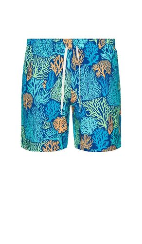 The Coral Quarrels 7 Swim Short in . Size L. Also in M, S, XL/1X - Chubbies - Modalova