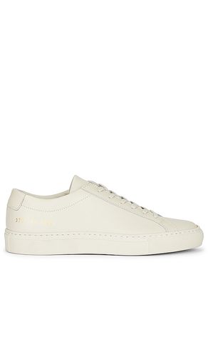 Zapatilla deportiva achilles low en color gris claro talla 35 en - Light Grey. Talla 35 (también en 40) - Common Projects - Modalova