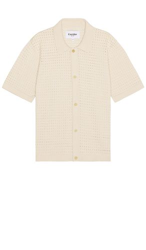 Pointelle button down shirt in color cream size L in - Cream. Size L (also in M, S, XL/1X) - Corridor - Modalova