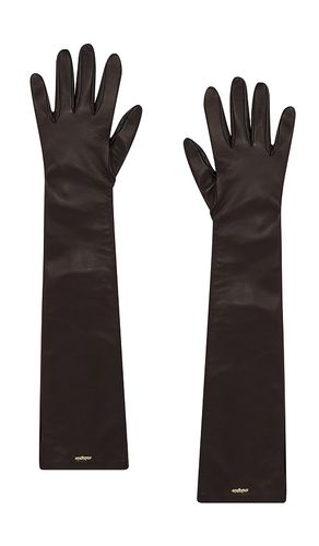 Guantes zya en color chocolate talla all en - Chocolate. Talla all - Cult Gaia - Modalova