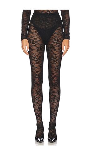 Lace Skin Leggings in . Size M. Also in S, XS - CULTNAKED - Modalova