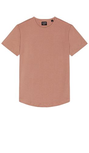 Crew curve hem t-shirt in color mauve size S in - Mauve. Size S (also in XXL/2X) - Cuts - Modalova