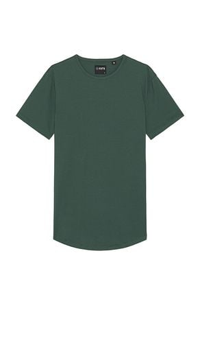 Curve Hem Tee in . Size XL/1X - Cuts - Modalova