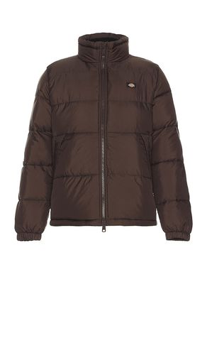 Waldenburg Jacket in . Taglia M, XL/1X - Dickies - Modalova