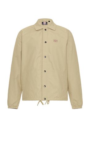 Chaqueta oakport en color beige talla L en - Beige. Talla L (también en M, S) - Dickies - Modalova