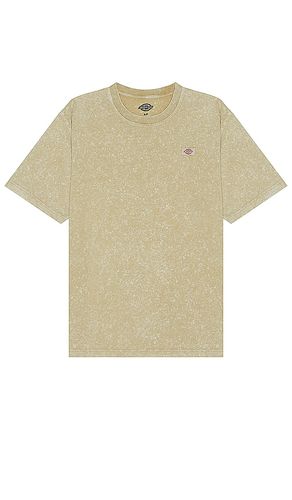 Camiseta en color marrón talla L en - Brown. Talla L (también en M, S) - Dickies - Modalova