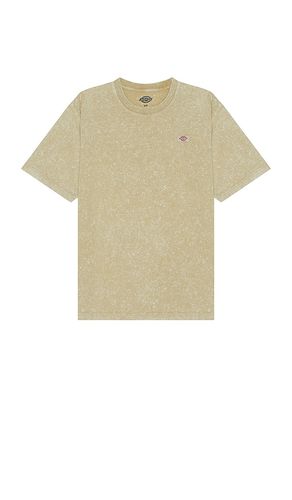 Newington Tee in . Size XL/1X - Dickies - Modalova