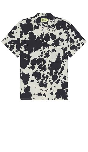Cow Shirt in . Size L - Duvin Design - Modalova