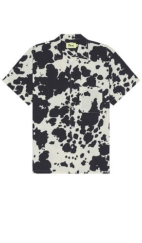 Cow Shirt in . Size L, S - Duvin Design - Modalova