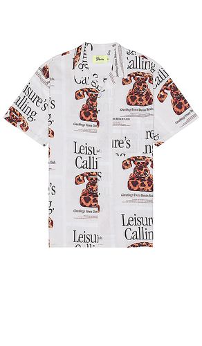 Cat Call Shirt in . Size L, S, XL/1X - Duvin Design - Modalova