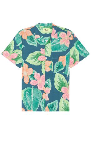 Camisa spring garden en color talla L en - Green. Talla L (también en M, S, XL/1X) - Duvin Design - Modalova