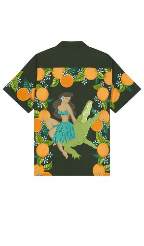 Citrus Shirt in . Size M, S, XL/1X - Duvin Design - Modalova