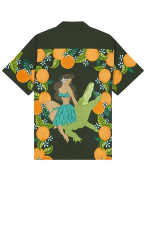 HEMD CITRUS in . Size M, S - Duvin Design - Modalova