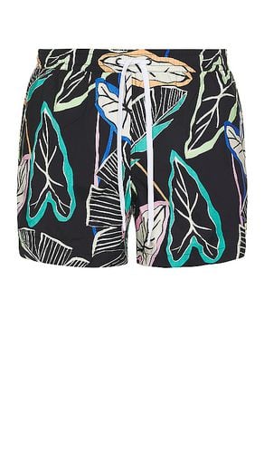 Neon Palm Swim Short in . Size S - Duvin Design - Modalova