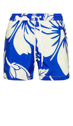 Trouble in Paradise Swim Short in . Size XL/1X - Duvin Design - Modalova