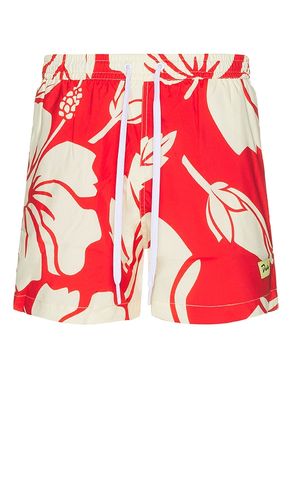 Trouble en paradise swim short en color talla S en - Red. Talla S (también en XL/1X) - Duvin Design - Modalova