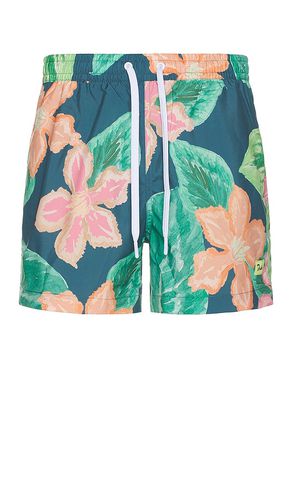 SHORTS SPRING GARDEN in . Size M, S, XL/1X - Duvin Design - Modalova