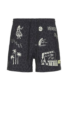 Stamp Swim Short in . Taglia XL/1X - Duvin Design - Modalova