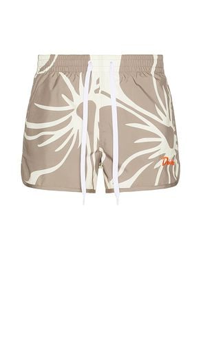 Hibiscus Tanning Swim Short in . Size S - Duvin Design - Modalova