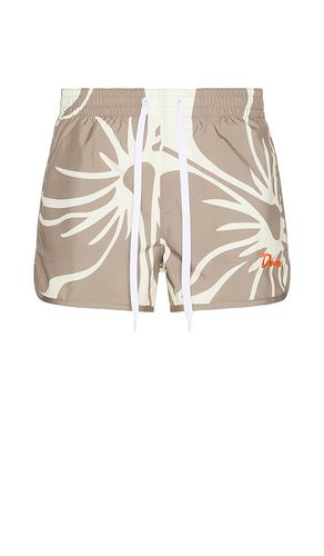 Hibiscus Tanning Swim Short in . Taglia M, S, XL/1X - Duvin Design - Modalova