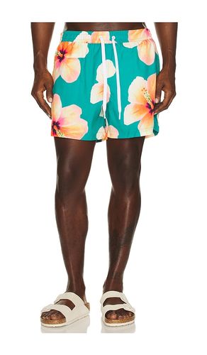 Bloom Swim Shorts in . Size S. Also in XL/1X - Duvin Design - Modalova