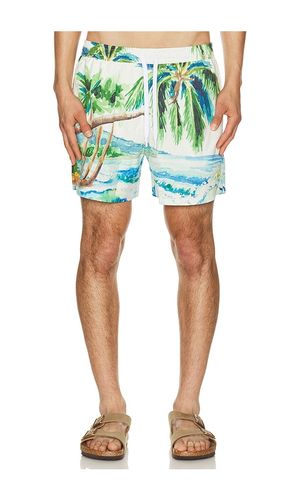 Postcard Swim Shorts in . Taglia M. Also in L, XL/1X - Duvin Design - Modalova