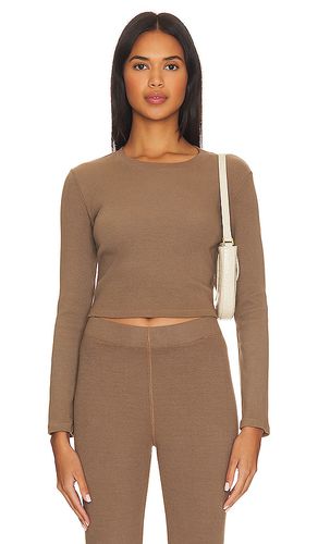 Rib crop long sleeve in color taupe size L in - Taupe. Size L (also in M, S, XL) - DONNI. - Modalova
