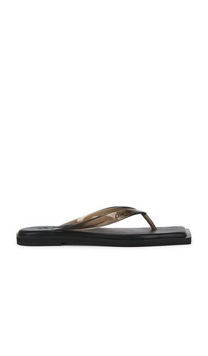 Flip Flops in . Size 37. Also in 38, 39, 41 - Dirt - Modalova