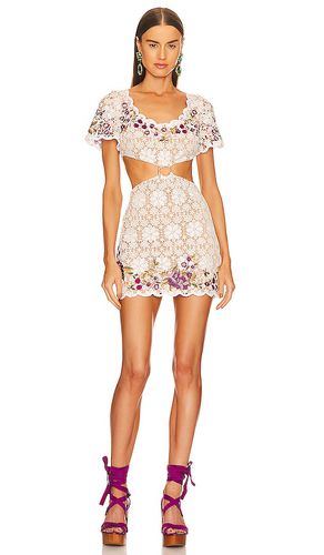 Jane Mini Dress in . Taglia M, S, XL - DUNDAS x REVOLVE - Modalova