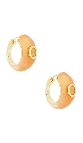 Callie Hoop Earrings in - Eddie Borgo - Modalova
