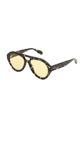 EDERA Juliet Sunglasses in Multi - EDERA - Modalova