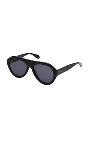 EDERA Avena Sunglasses in Black - EDERA - Modalova
