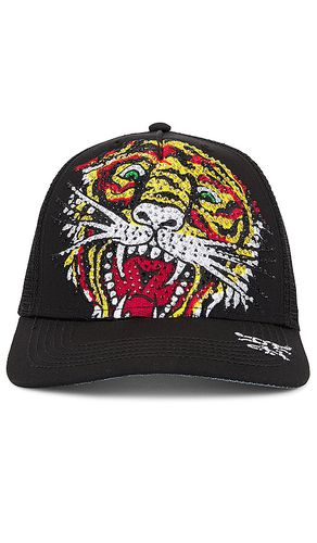 Sombrero tiger rhinestone en color talla all en - Black. Talla all - Ed Hardy - Modalova