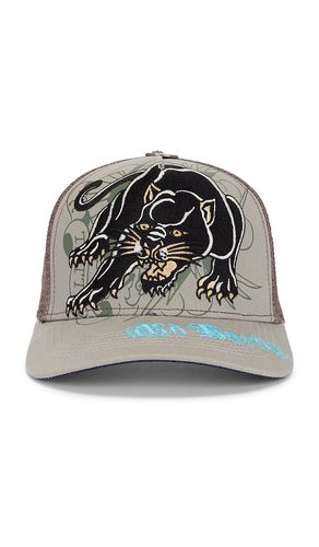 Embroidered Crouching Panther Hat in - Ed Hardy - Modalova