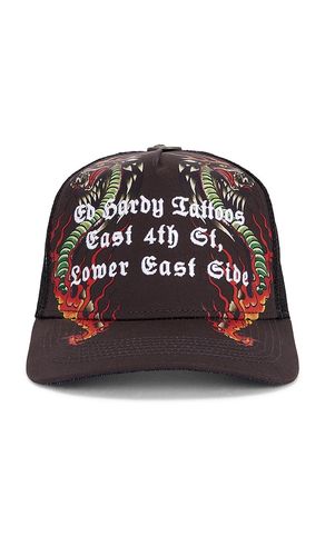 Ed Hardy Cobra Frame Hat in Black - Ed Hardy - Modalova