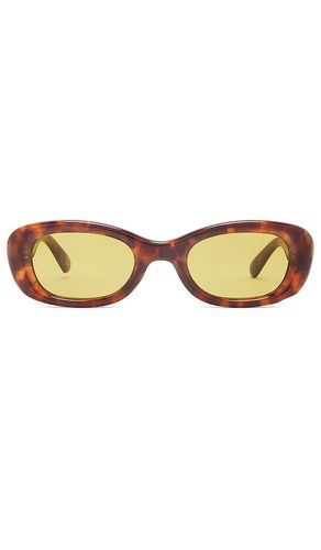 Calisto sunglasses in color brown size all in - Brown. Size all - AIRE - Modalova